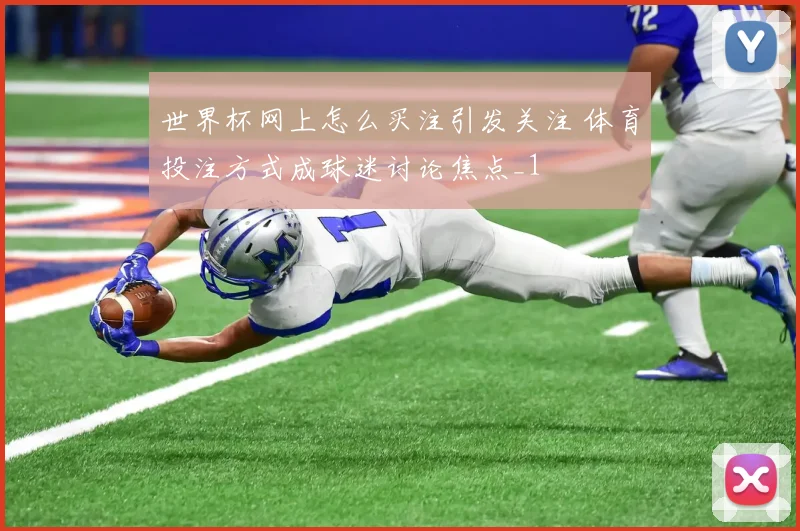 世界杯网上怎么买注引发关注 体育投注方式成球迷讨论焦点_1