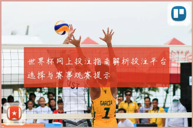 世界杯网上投注指南解析投注平台选择与赛事观赛提示