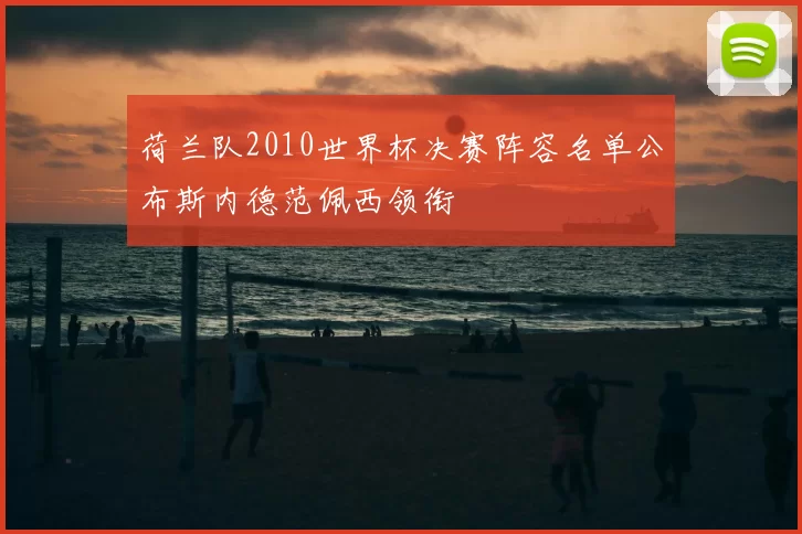 荷兰队2010世界杯决赛阵容名单公布斯内德范佩西领衔