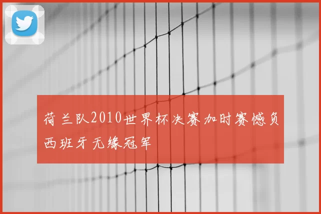 荷兰队2010世界杯决赛加时赛憾负西班牙无缘冠军